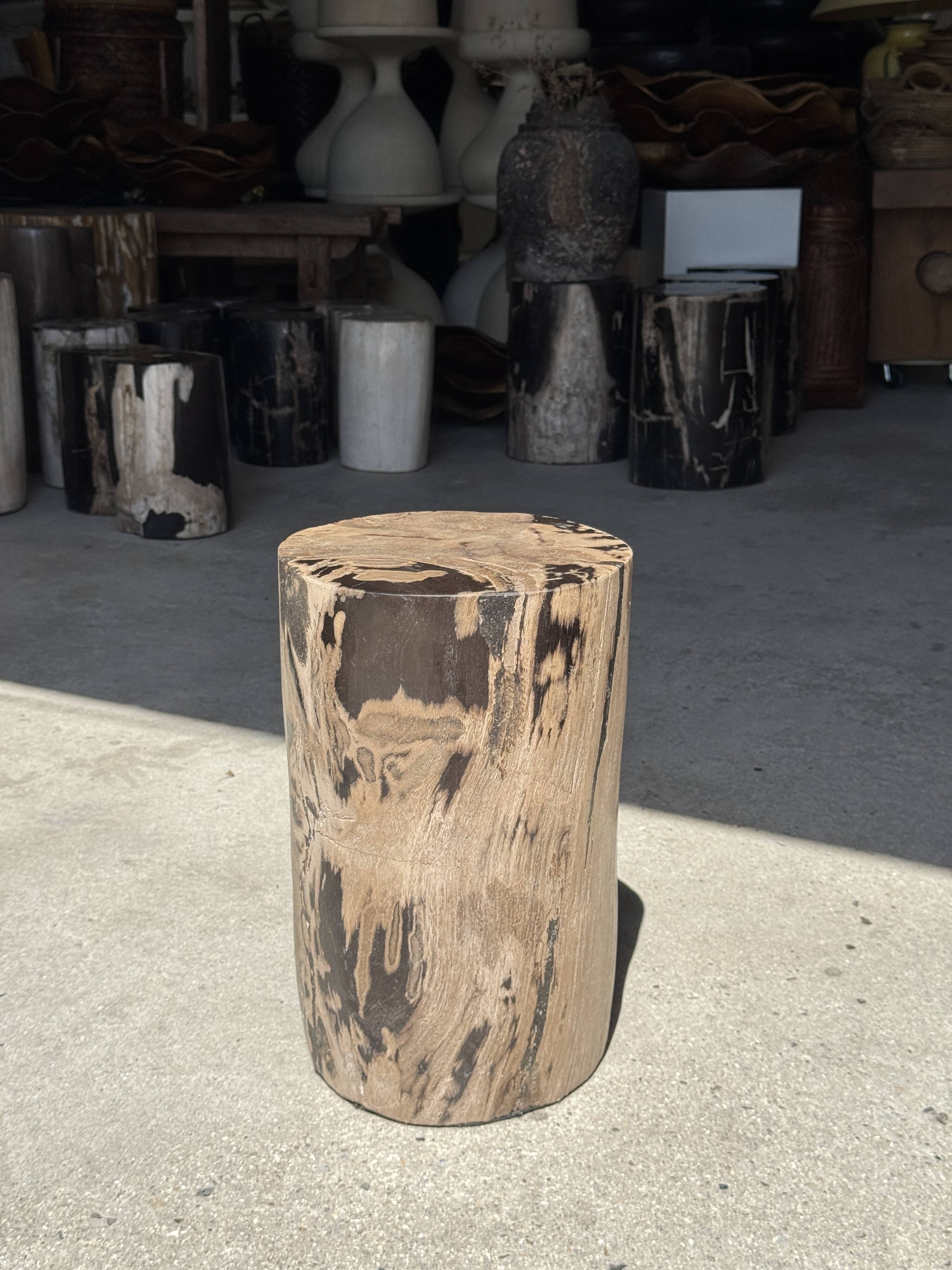Brown and black petrified wood side table H35 D27 - 3333