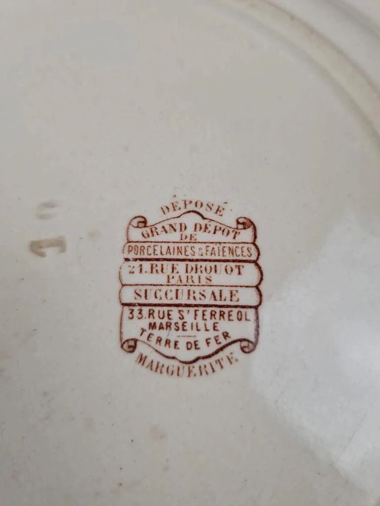 Set of 2 antique ironstone plates, "Daisy" pattern, Grand Dépôt Paris.
