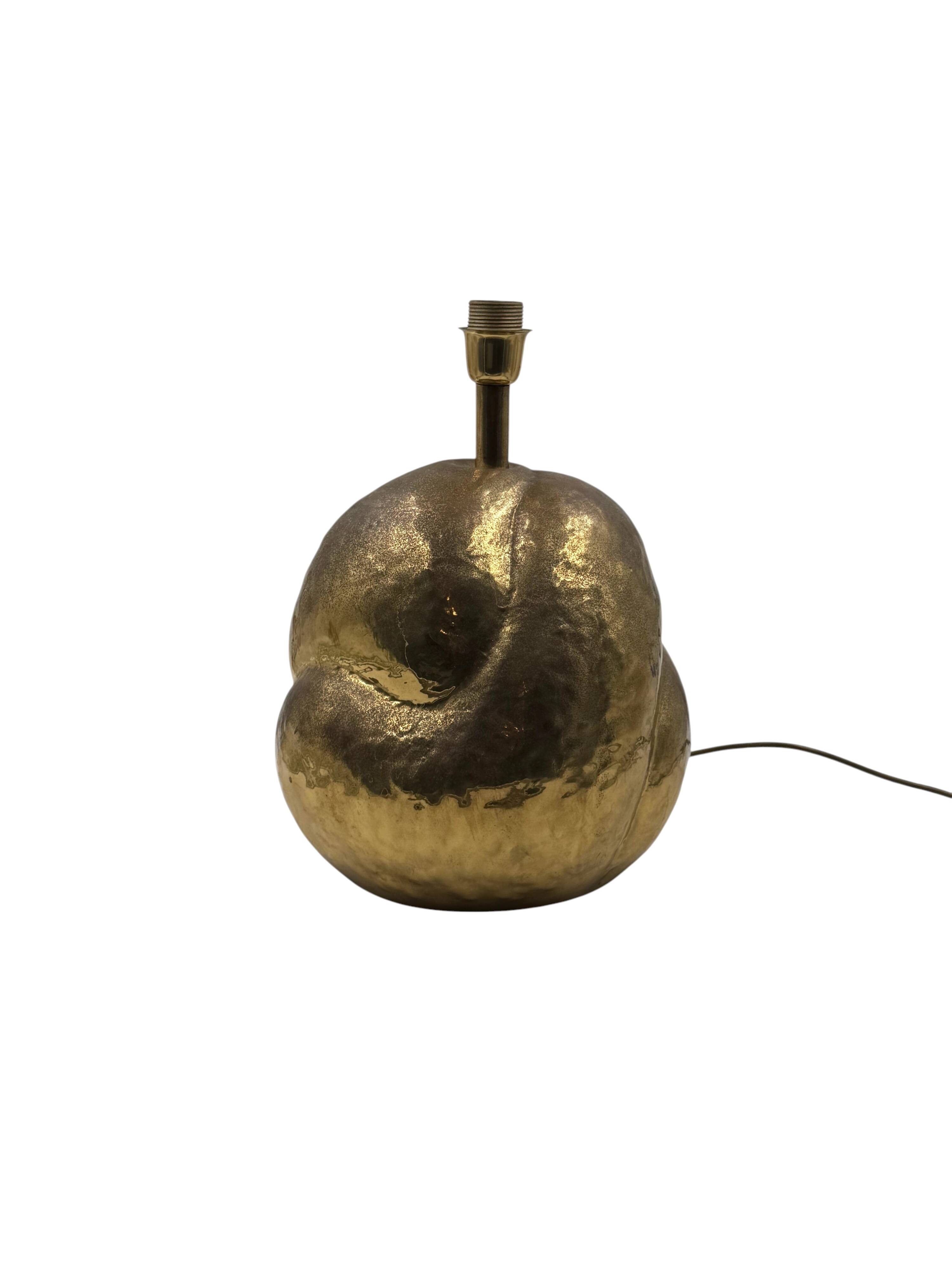 Organic modern brass table Lamp, Tommaso Barbi Italy 1970