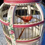 19th century bird cage in Lunéville earthenware