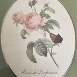 Rose frame by perfumers pj Redouté