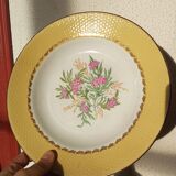 Amandinoise plate service