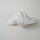 Decorative Triton seashell, boho style, 1980s