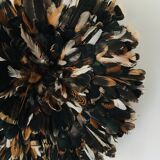 Speckled black jujuhat 50 cm