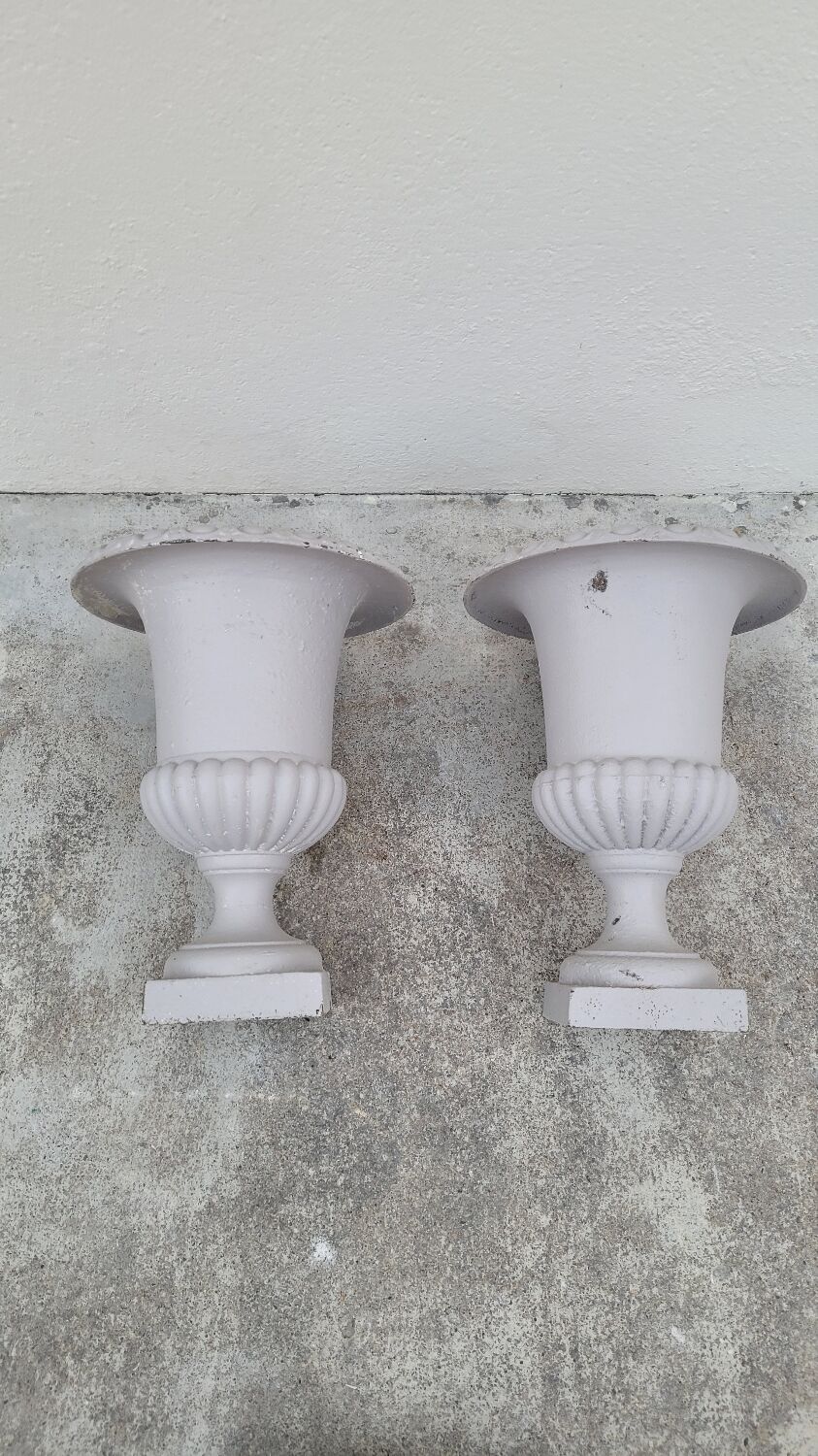 Pair of 19th century cast iron medicis vases