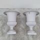Pair of 19th century cast iron medicis vases