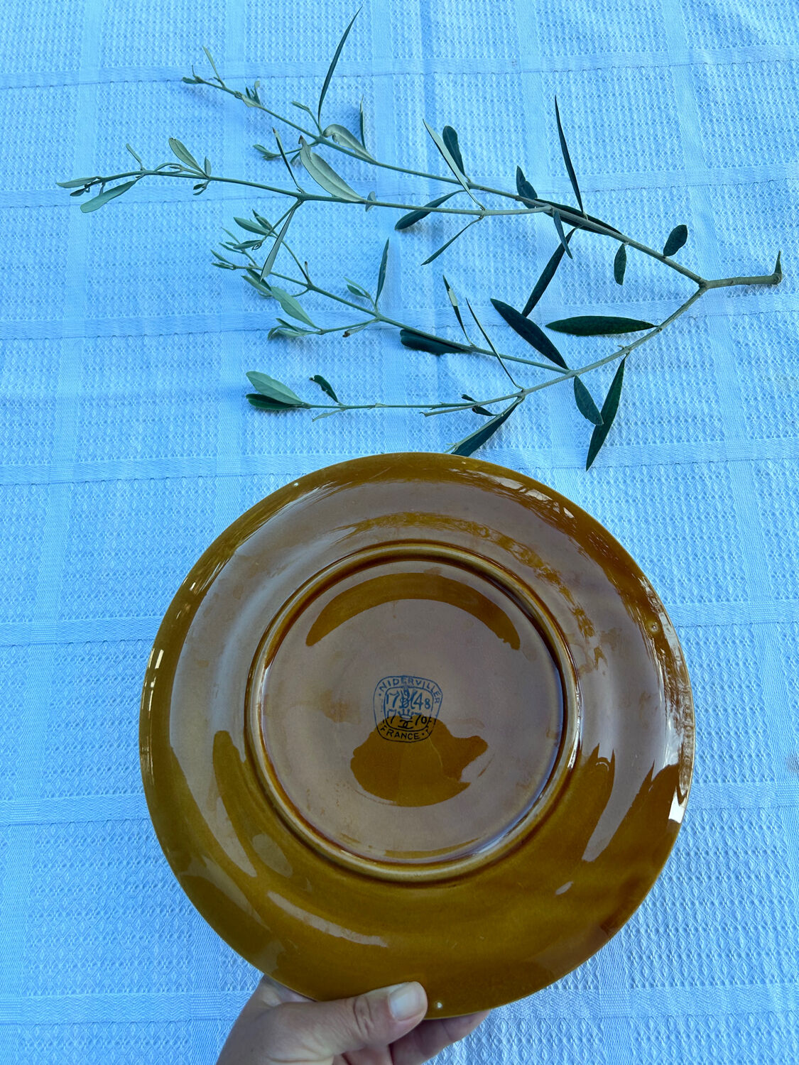 Oyster plates