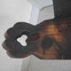 vintage tripod chair brutalist wood decor 50s brutalist