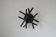 Large Ceiling Wall Light by Sciolari 1970