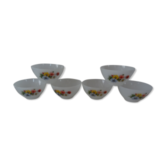 6 bowls flowers multicolored anemones Arcopal France