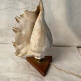 Vintage shell and teak lamp