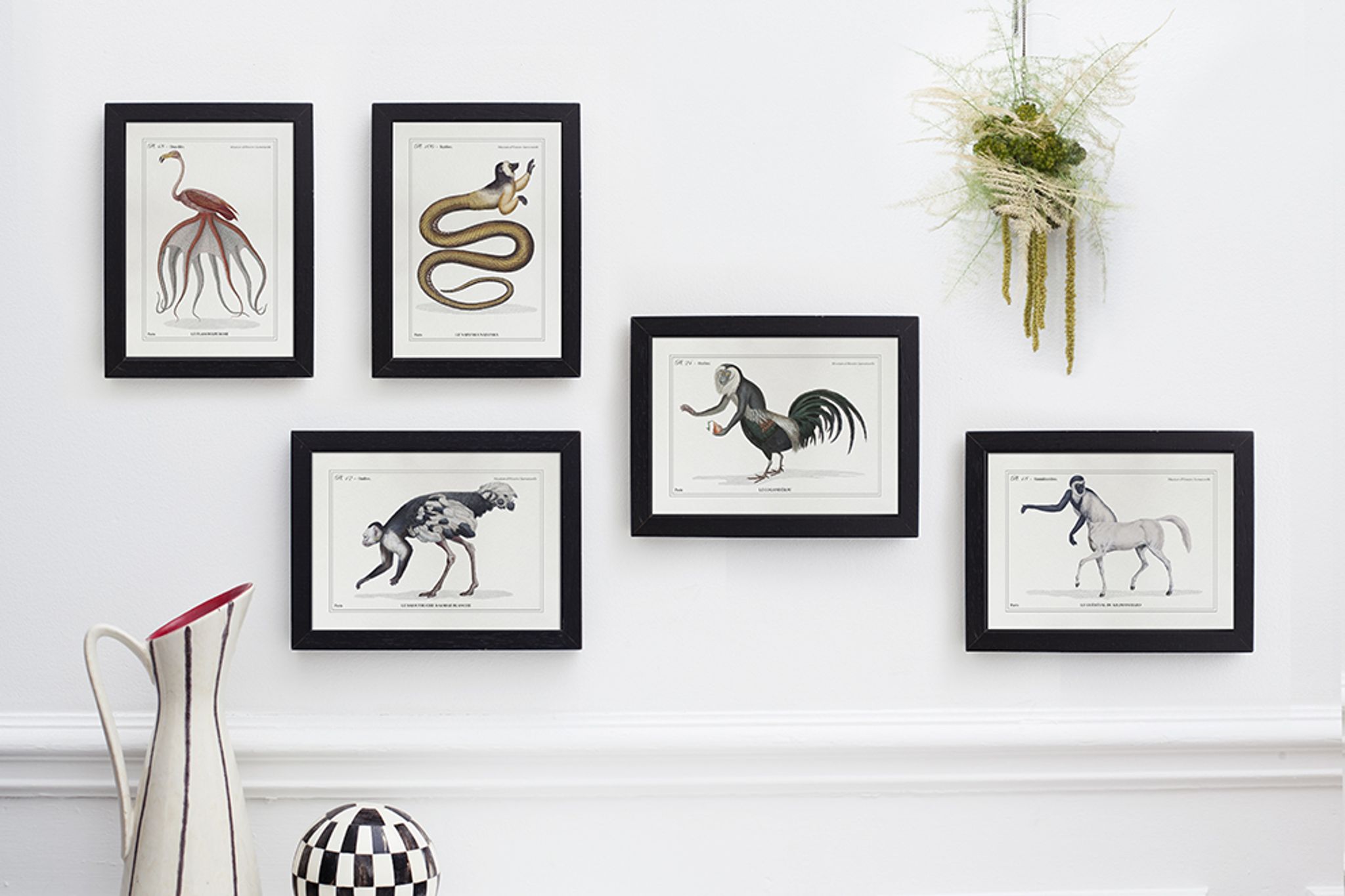 Chimera lithograph animal engraving - the coquandérou