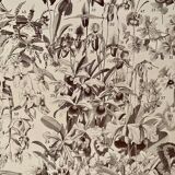 Lithograph on flowers (trees and shrubs) - 1920