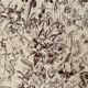Lithograph on flowers (trees and shrubs) - 1920