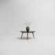 Rural Coffee Table with Contemporary Architecture, Solid Wenge Wood