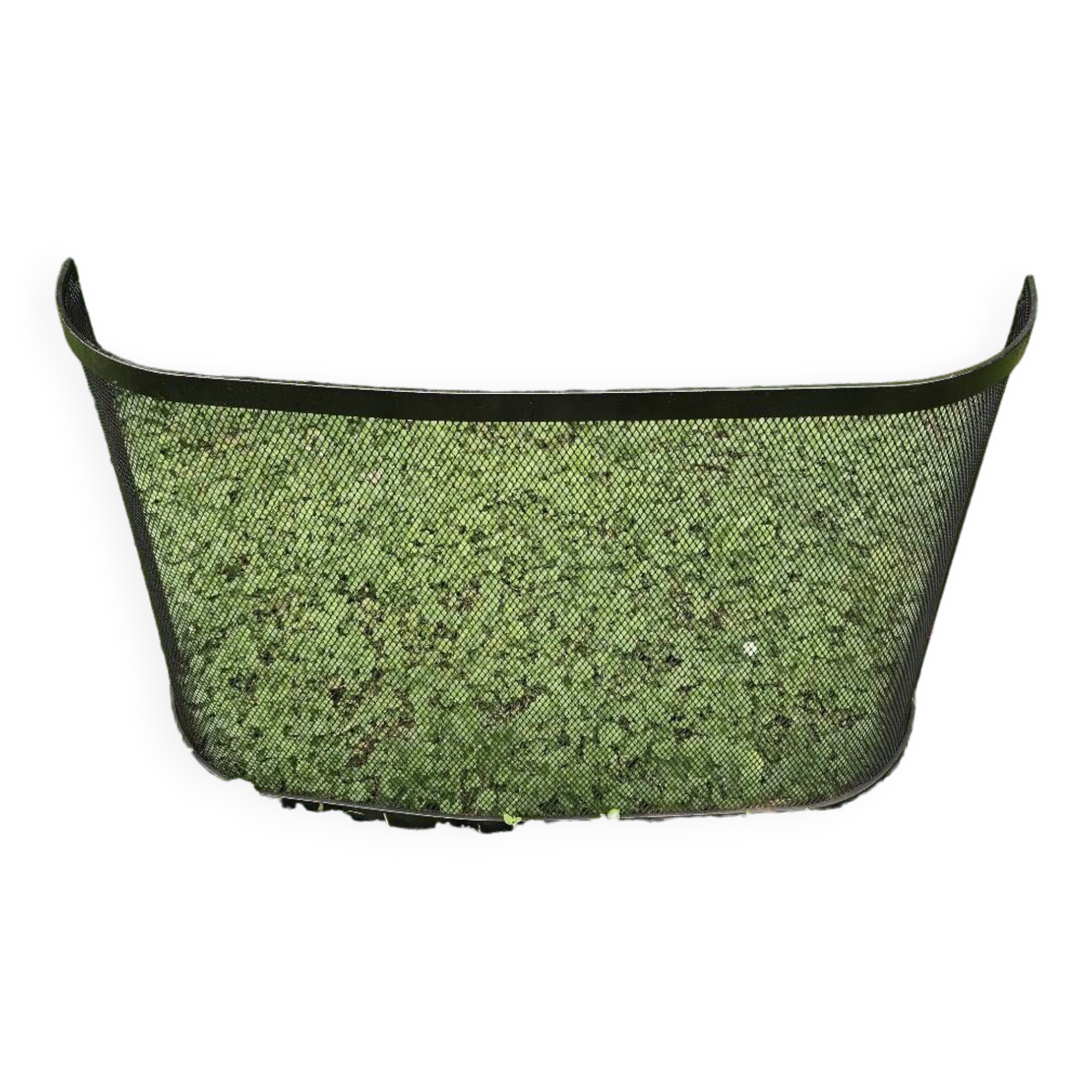 Curved chimney fire screen