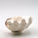 Natural shell catchall, 1970s.