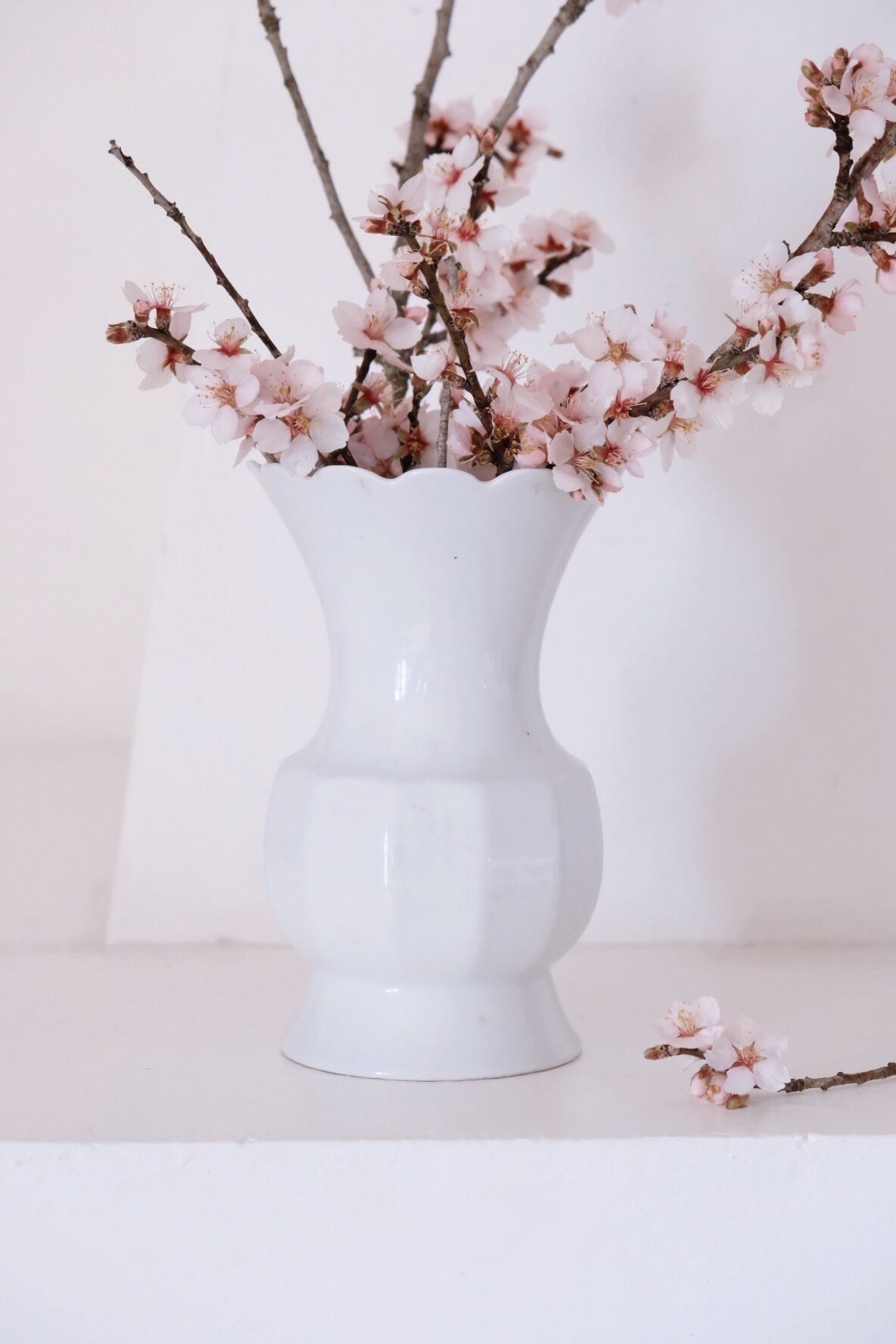 White vase Bareuther Waldsassen 50s