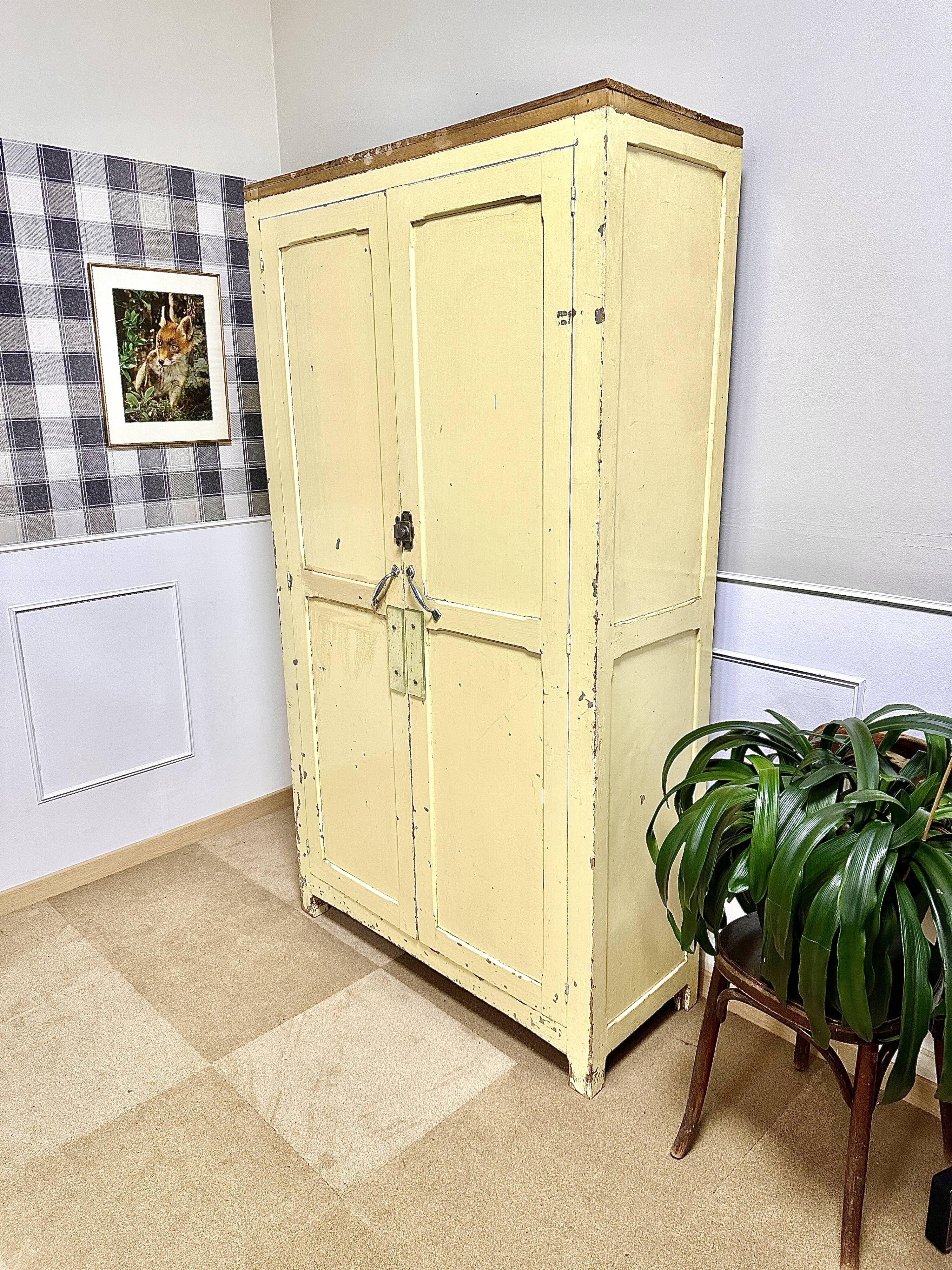 Parisian wardrobe patinated paint