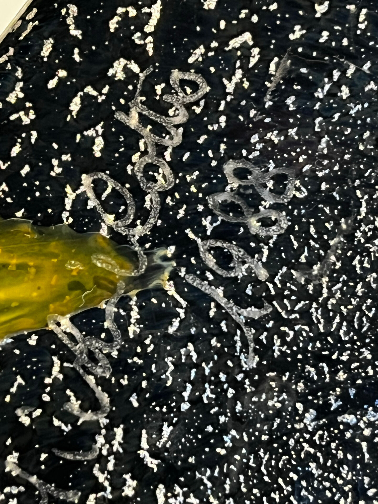 Murano vase by Michielotto