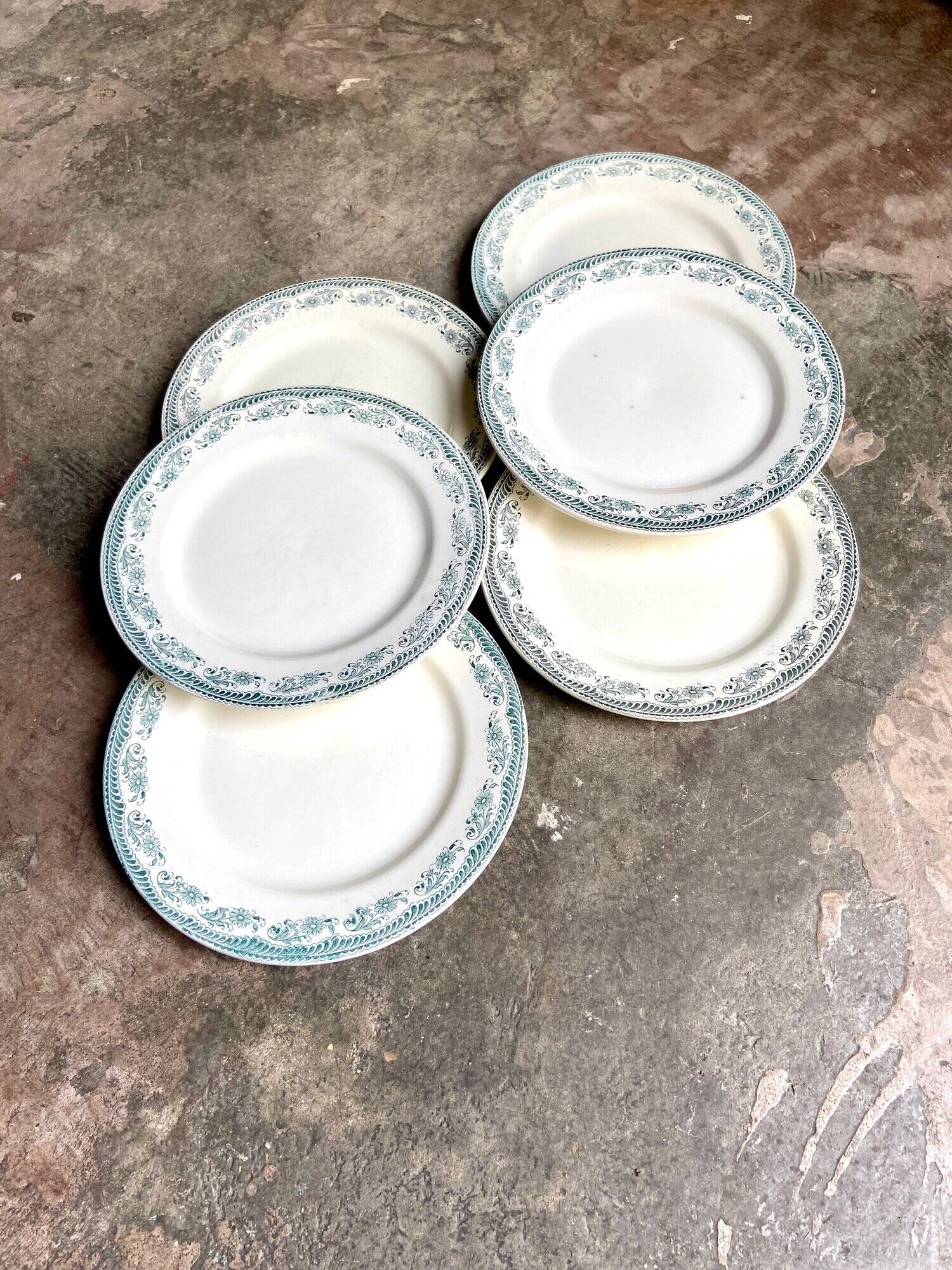 6 Salins flat plates in iron earth, “Moustiers” service