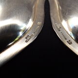 Christofle plates