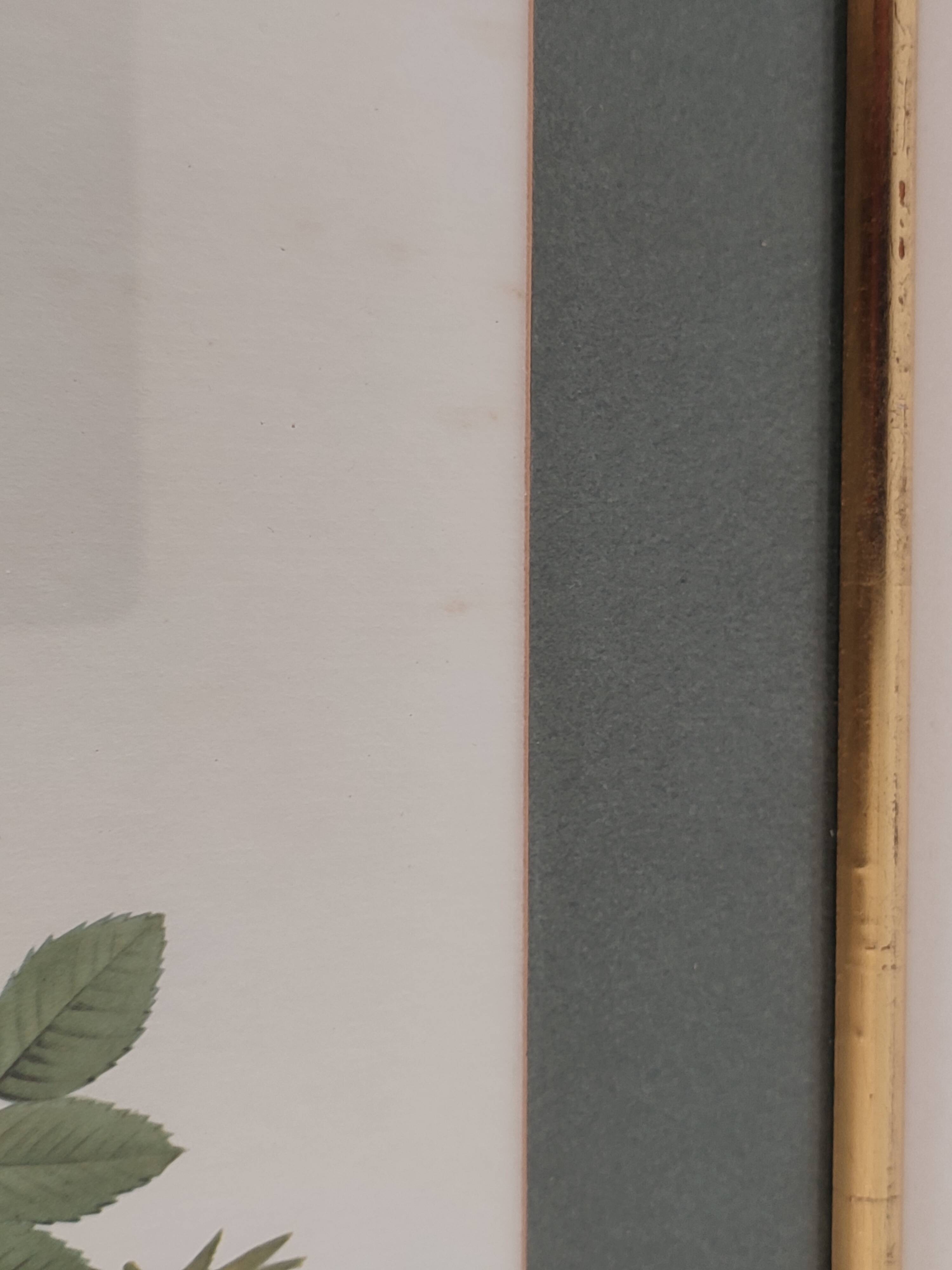 Dreaded Botanical Board