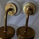Pair of tulips opaline glass and brass appliques