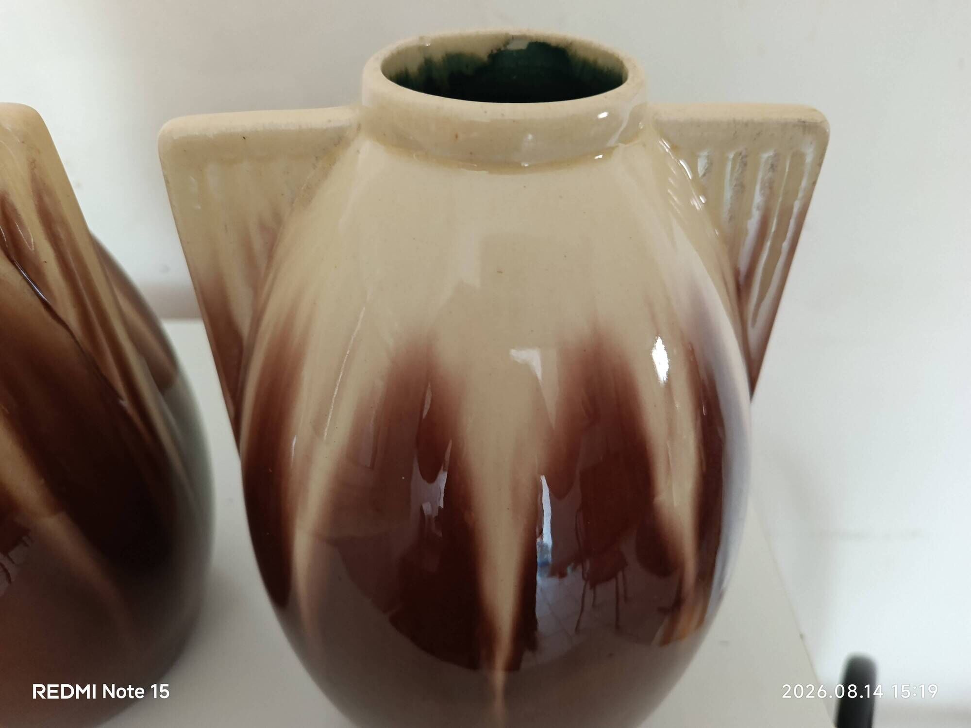 pair of vases by Gustave de Bryn