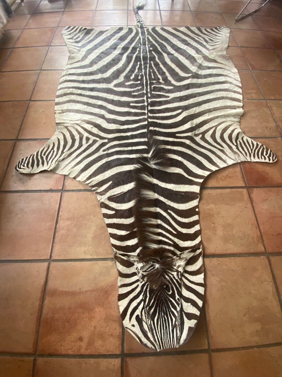 Real zebra skin