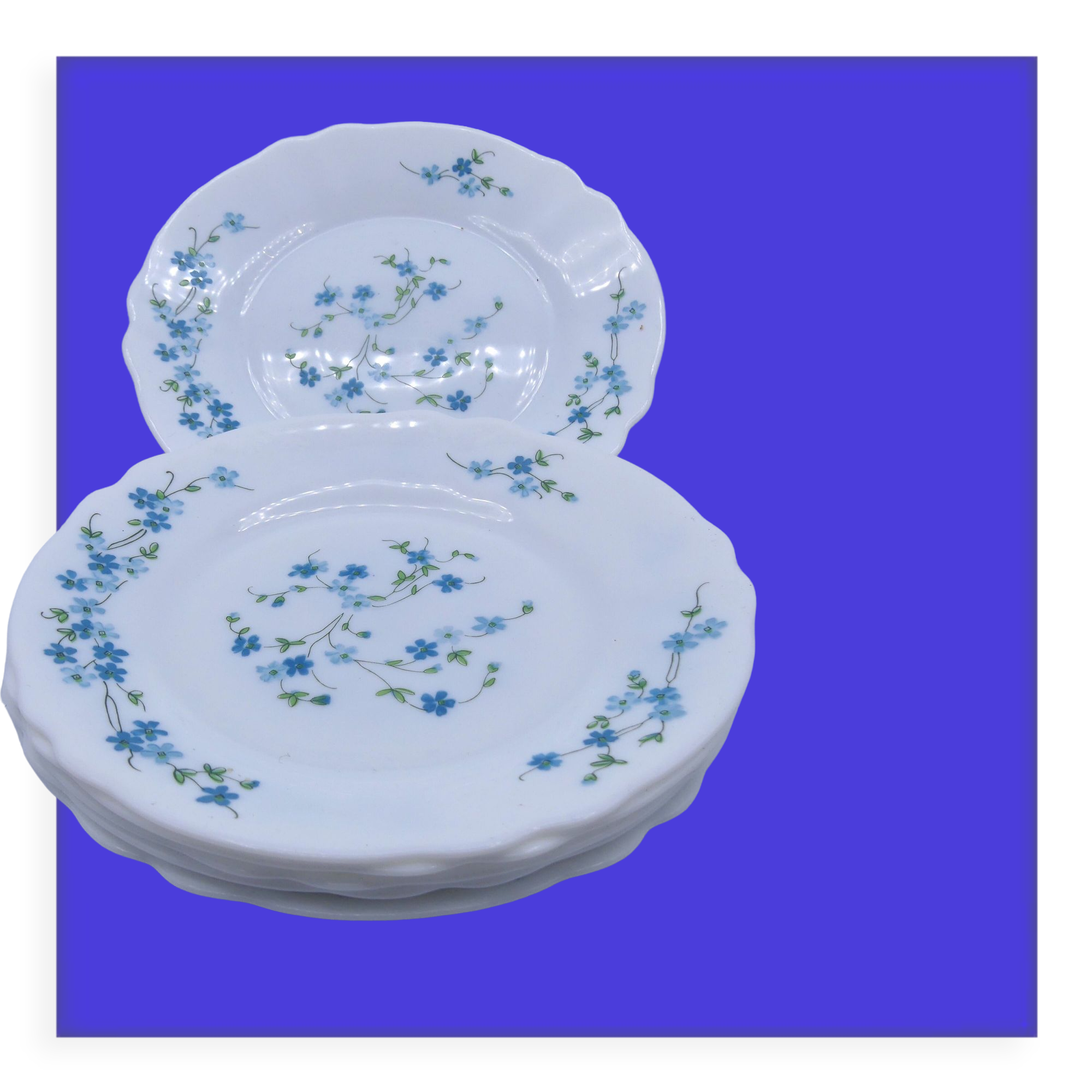 6 dessert plates Véronica Arcopal