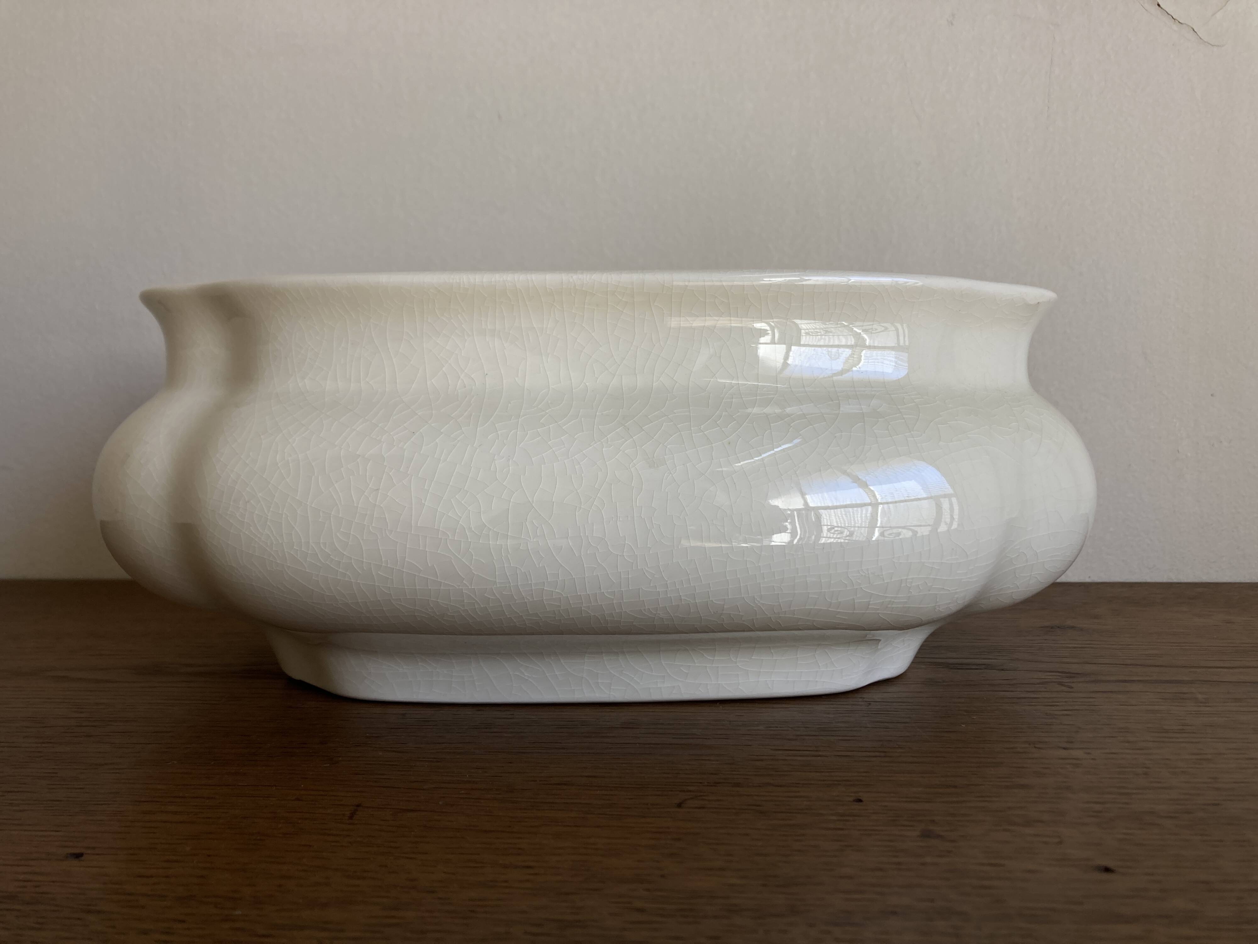 Neo-classical planter in ivory earthenware with XXL gadroons, 1950s