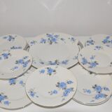 Set of 11 plates dessert and 1 dish of the pottery of onnaing
