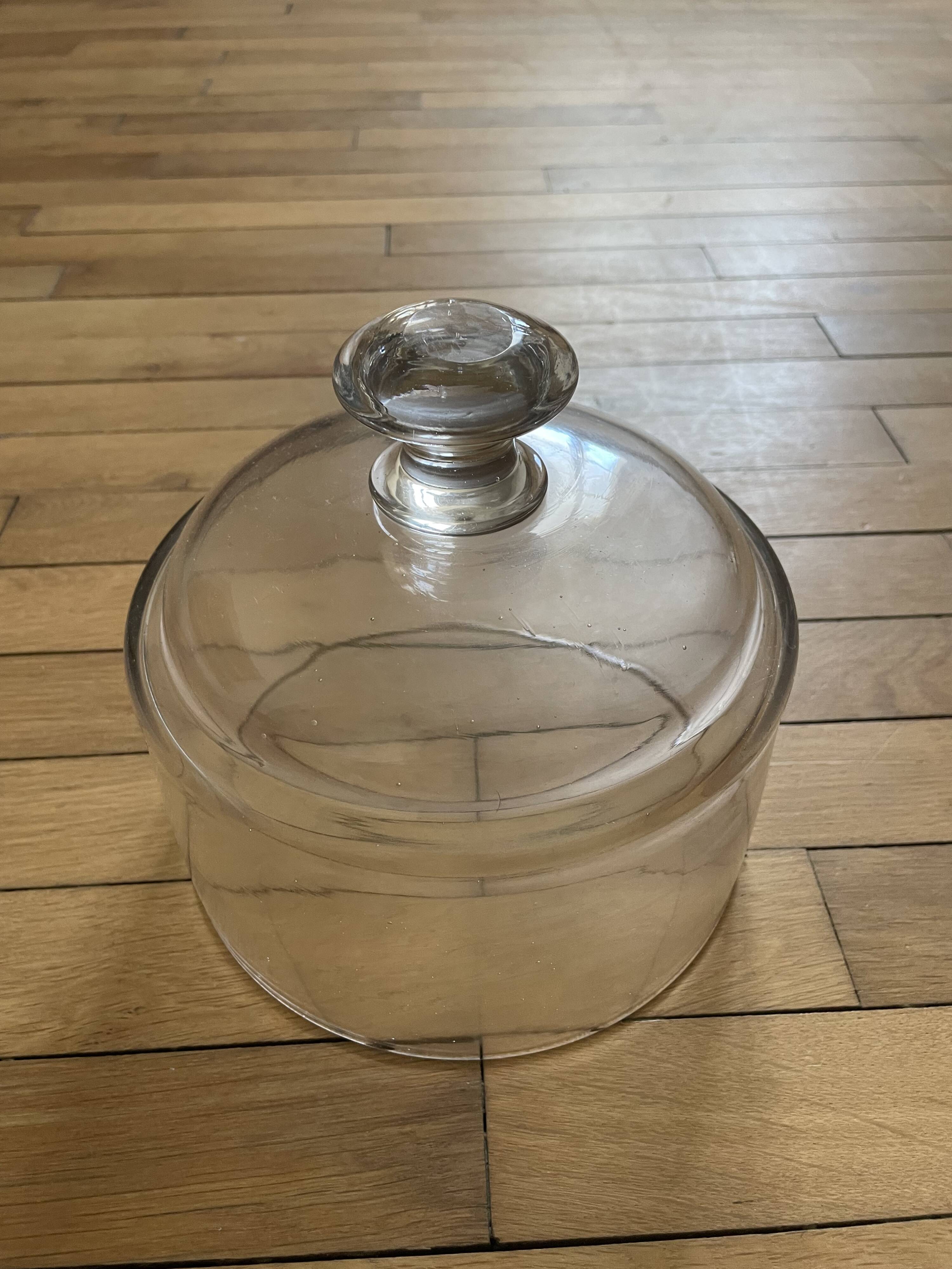 Glass cloche 251010