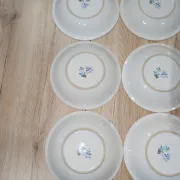 Lot 9 Deep Plates Porcelain Japan ARA S 933 Parrot & F Decor