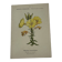 Botanical plate engraving flower France double-sided circa 1800 coloured