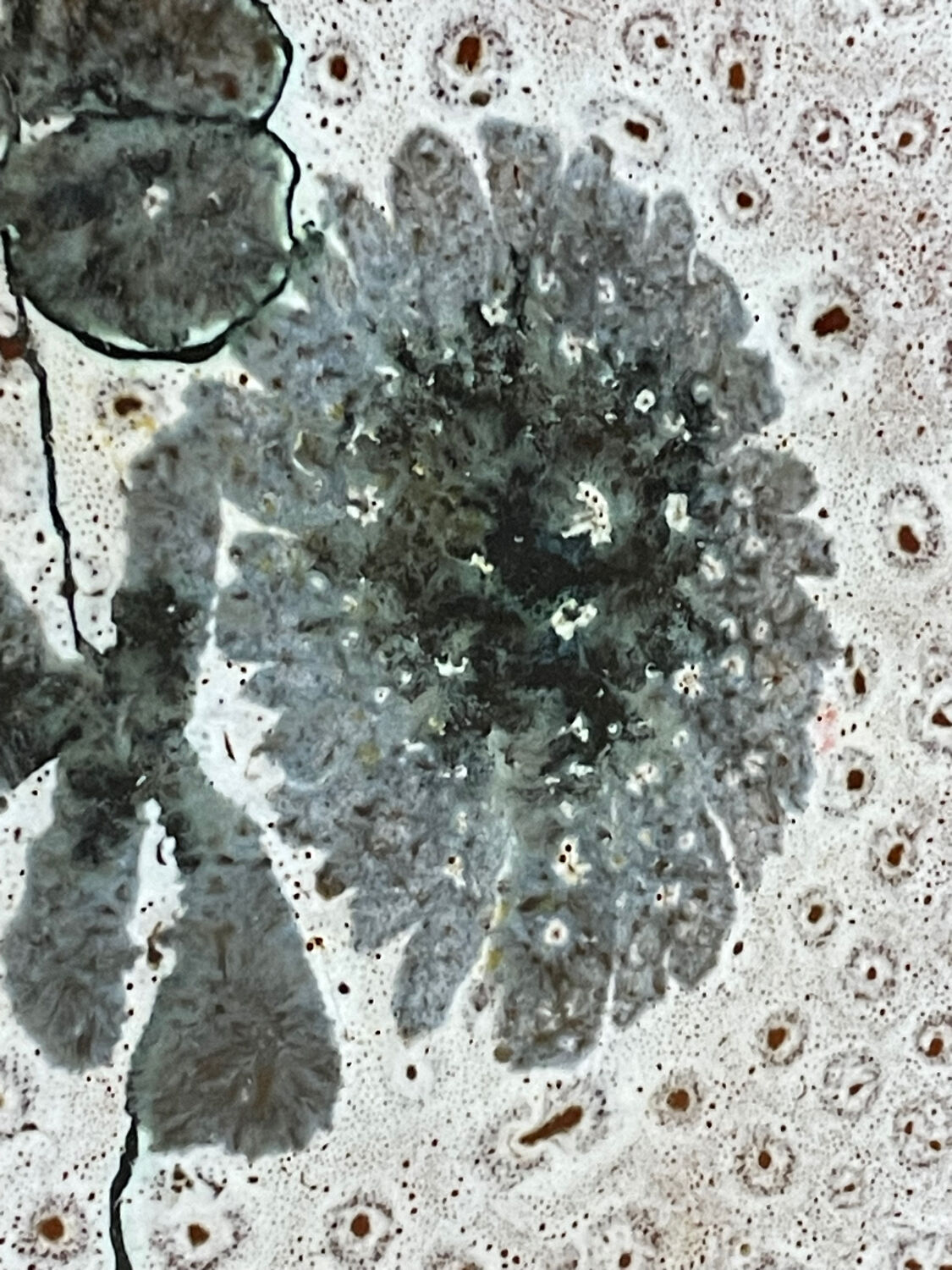 Set of 5 MBFA Pornic 70's dessert plates