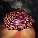 Woven wicker shell lamp