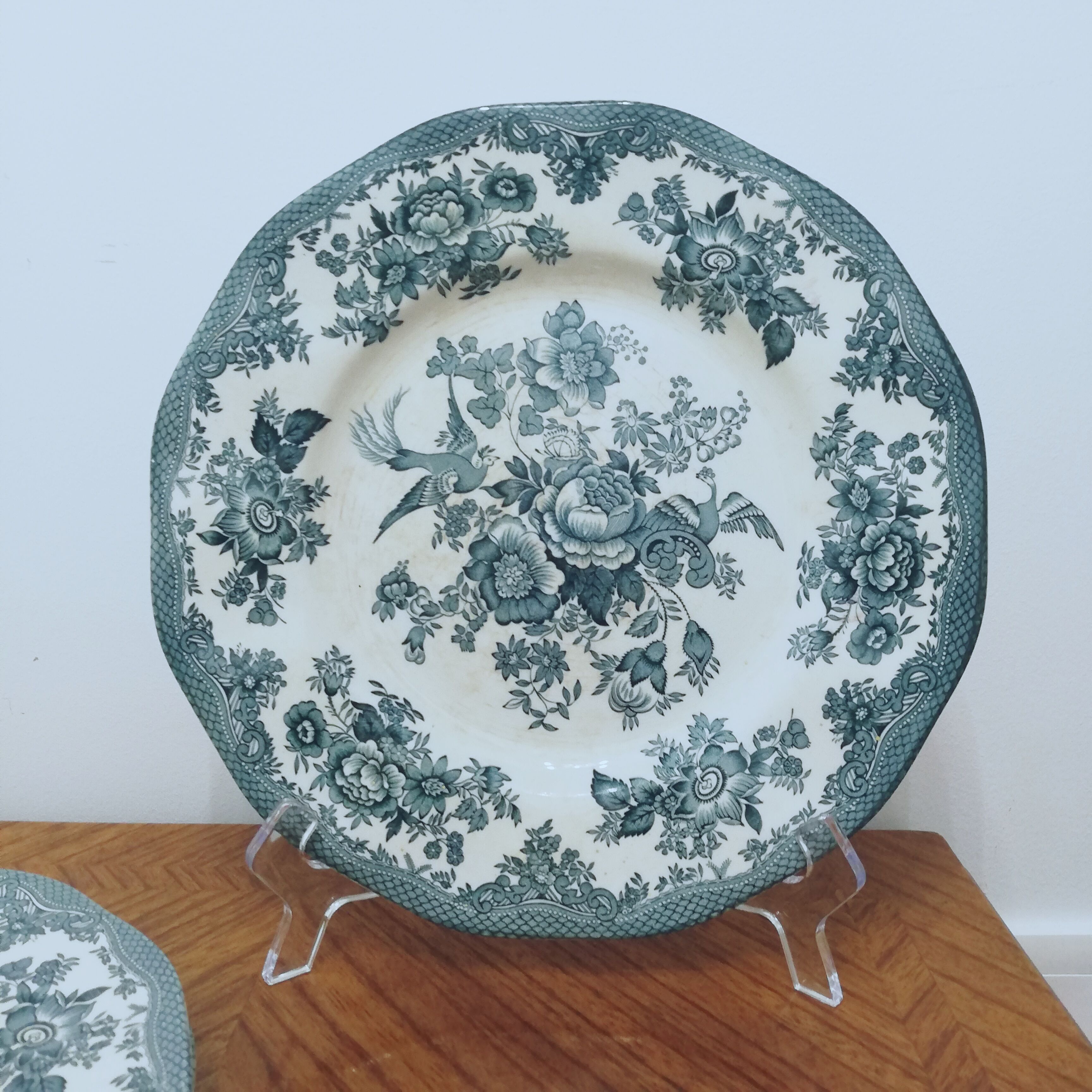 6 earthenware plates Enoch Wedgewood décor "asiatic pheasants"