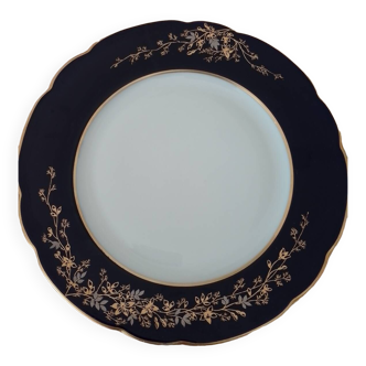 Limoge dinner plates