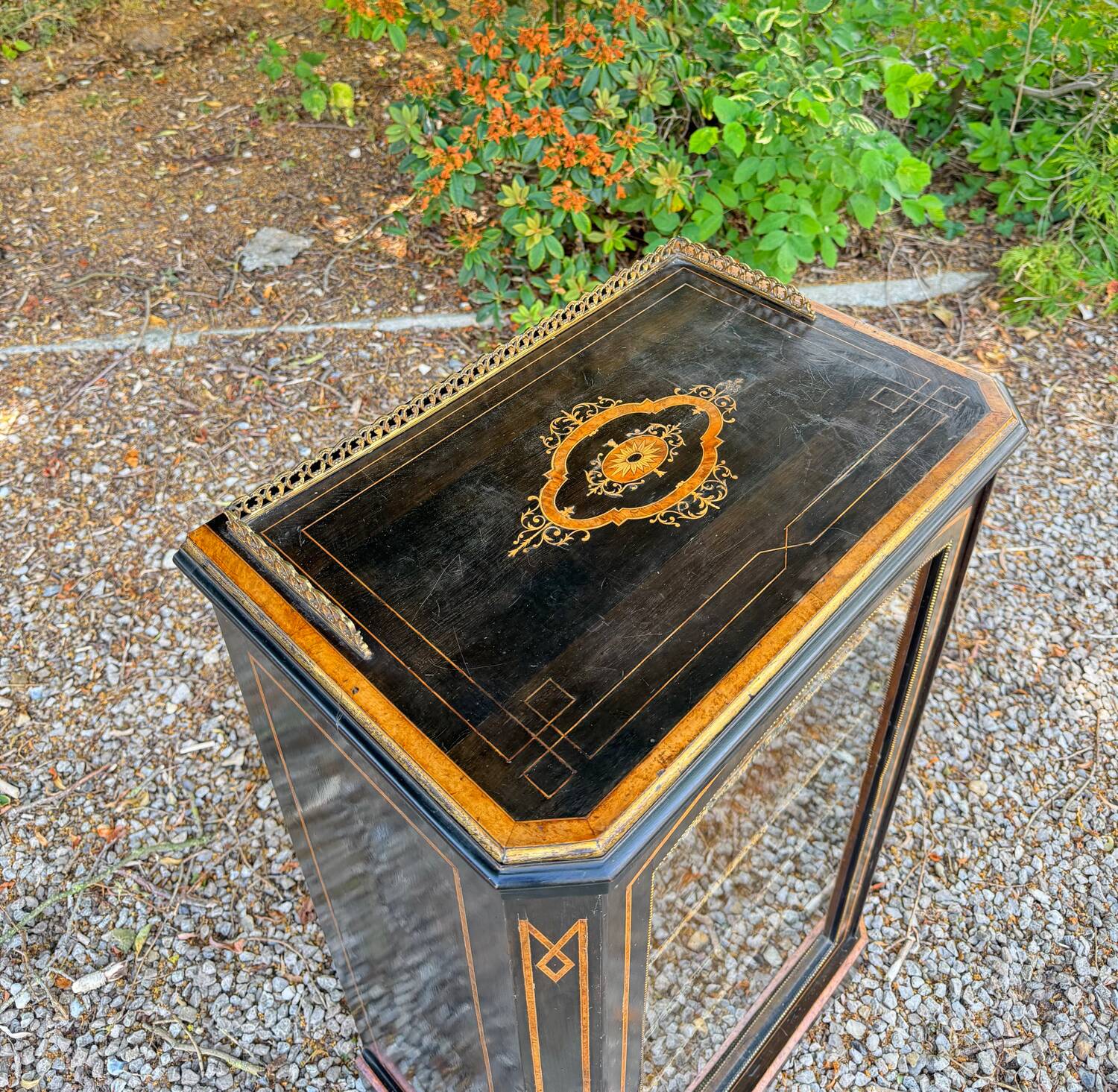 Blackened wooden display case from the Napoleon III period, 19th century