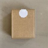 Beetle stuffed under glass