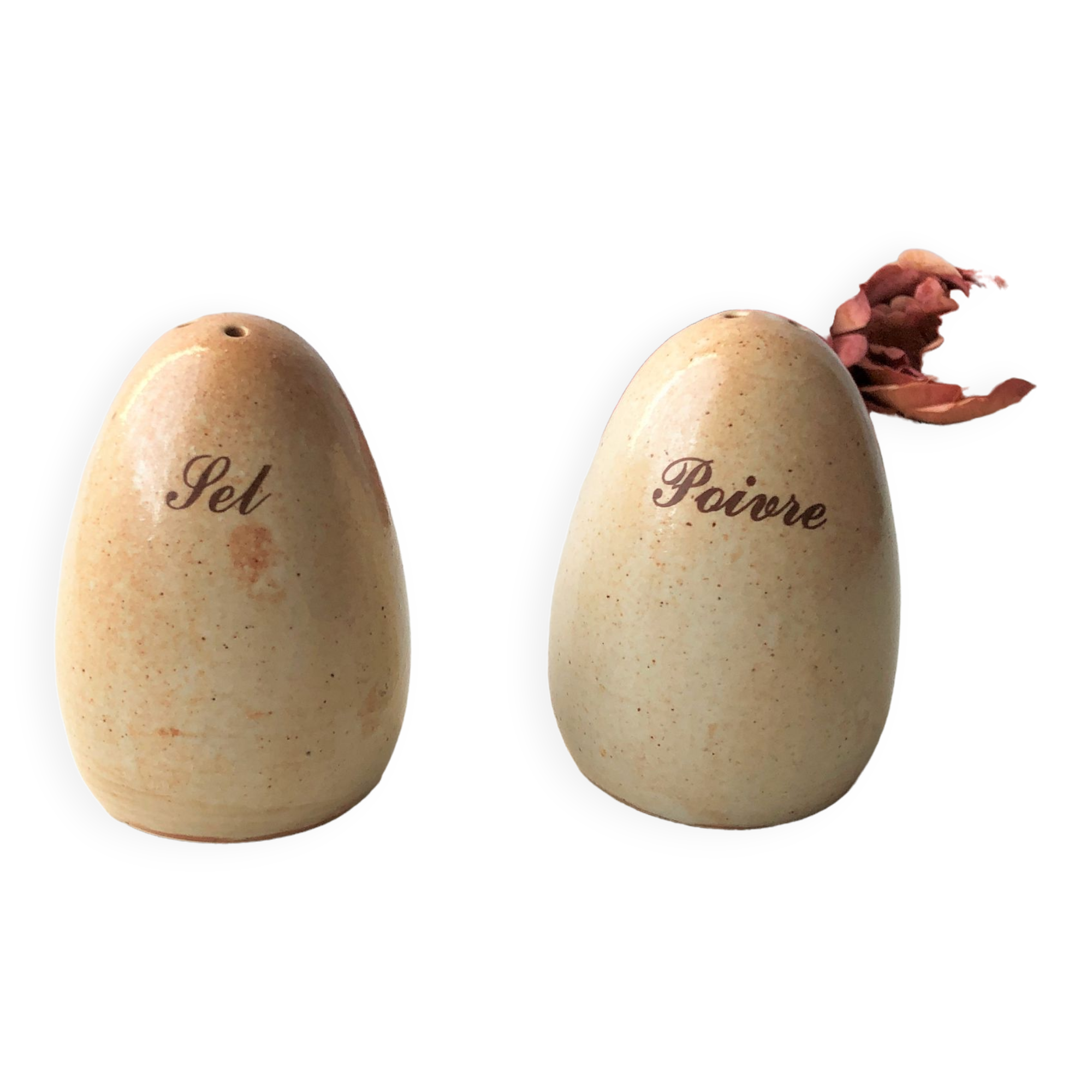Salt shaker pepper glazed stoneware egg shape