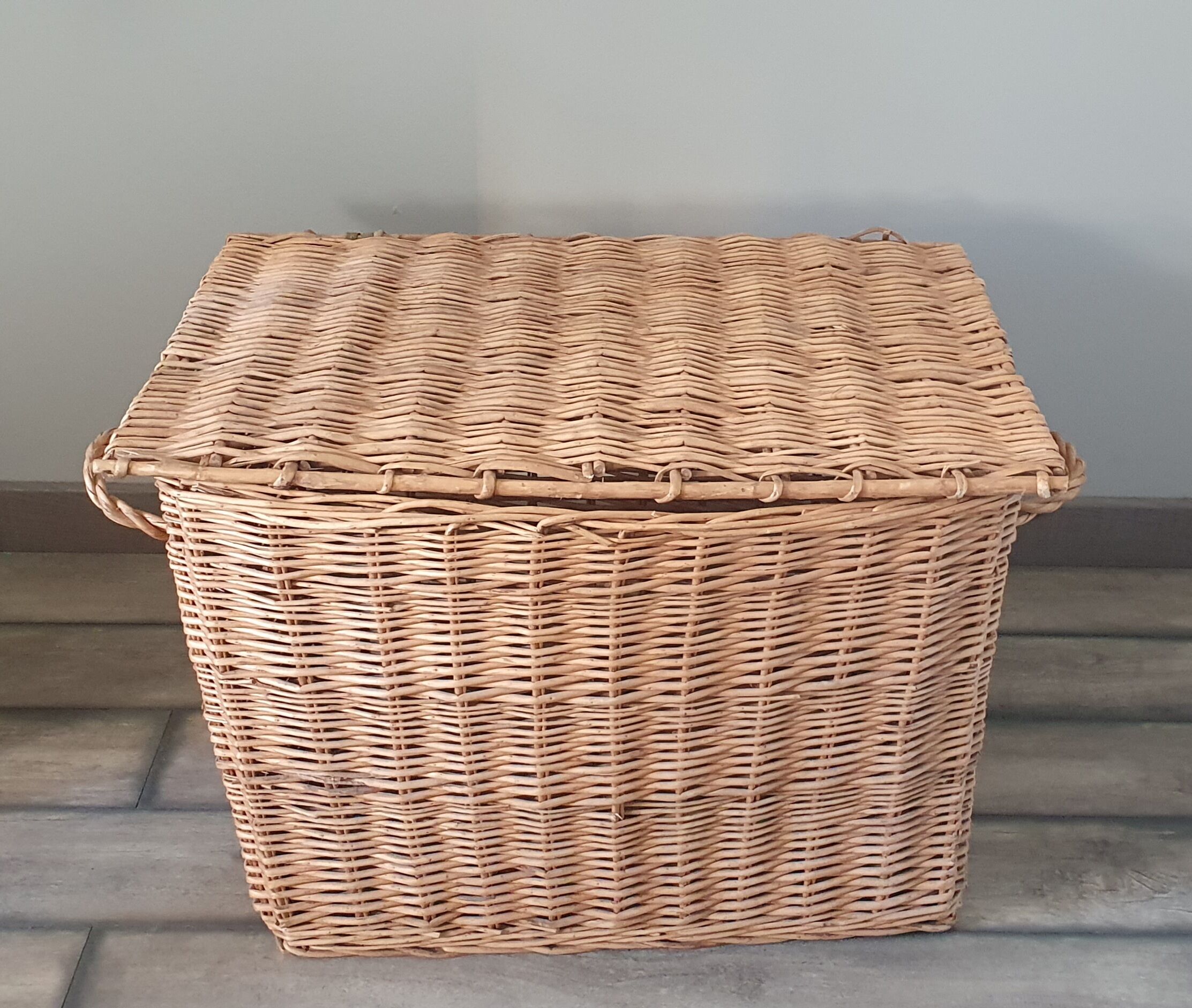 Wicker trunk