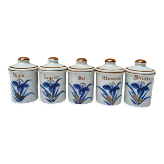 Spice pots blue flowers