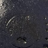 Vase Atoll