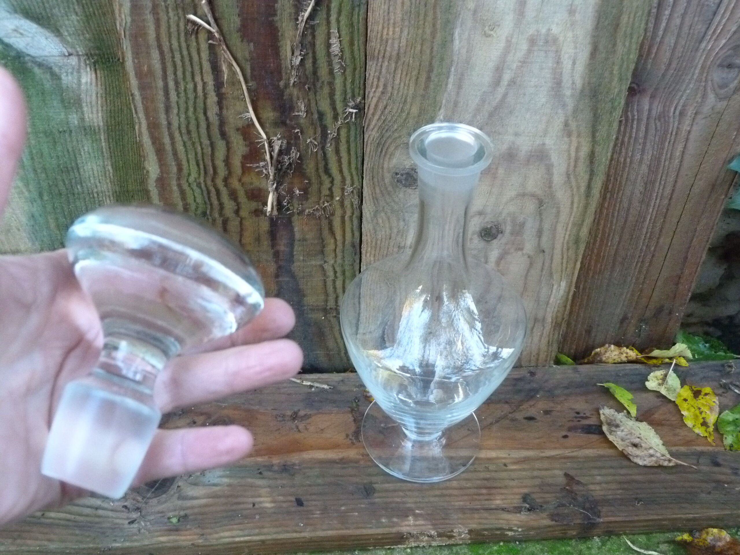 Crystal wine decanter