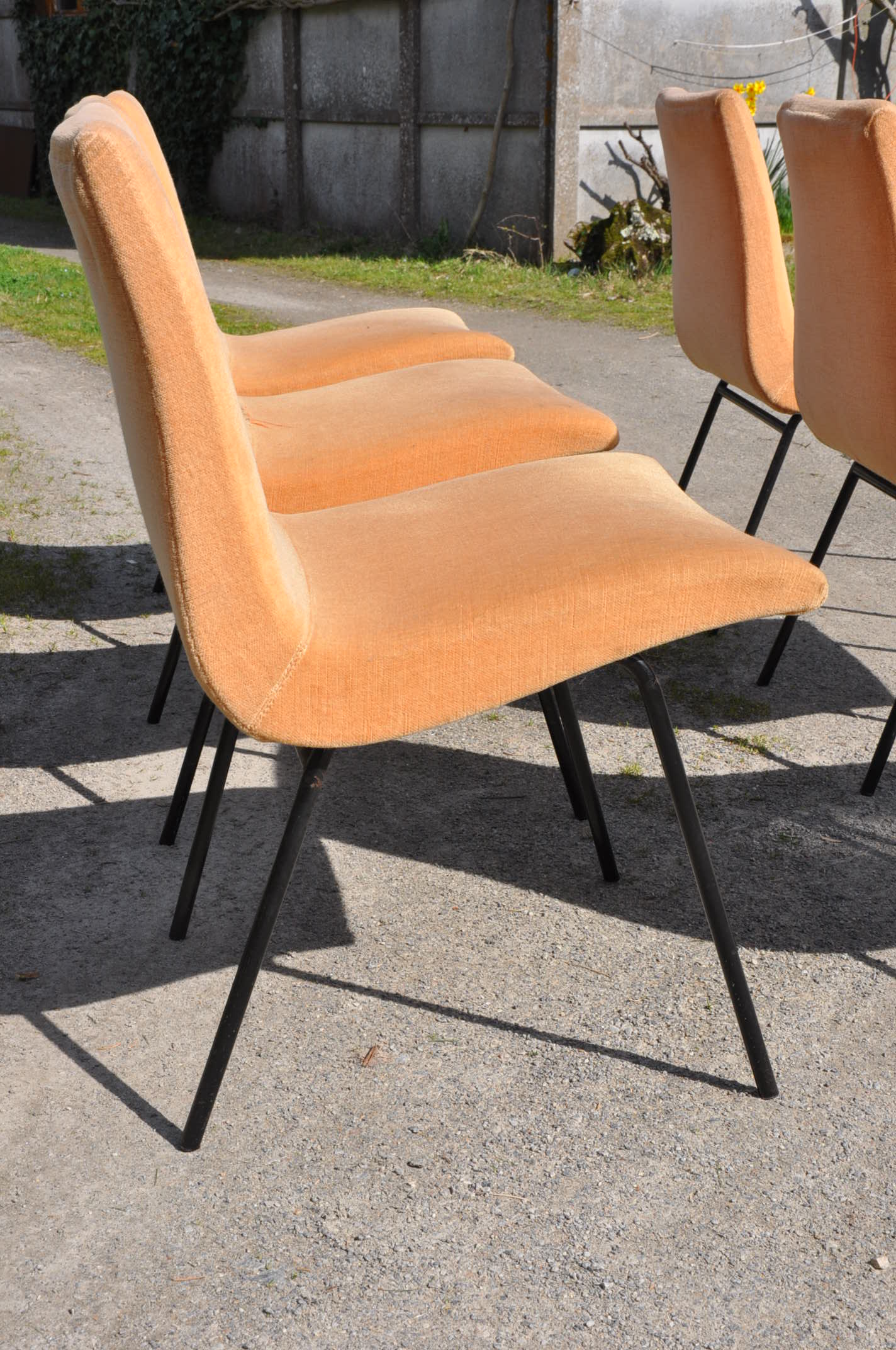 Pierre Paulin chairs