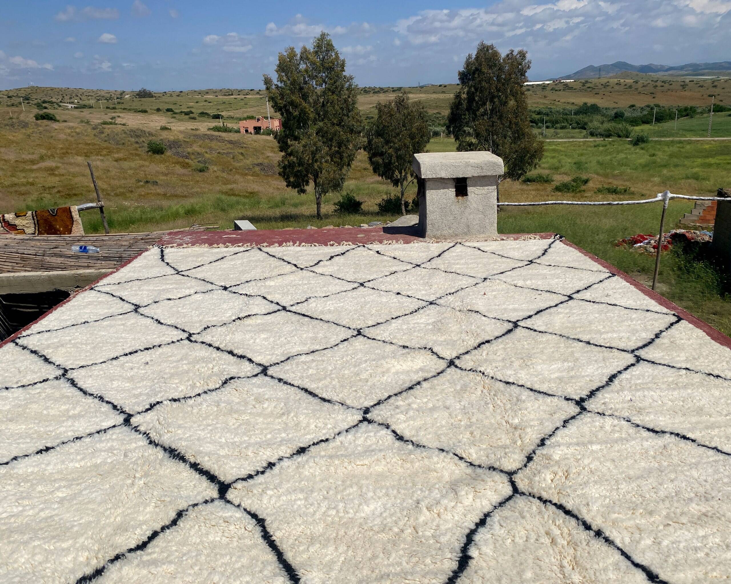 Very large vintage Beni Ouarain rug in cream wool with black diamonds, 426x344cm.