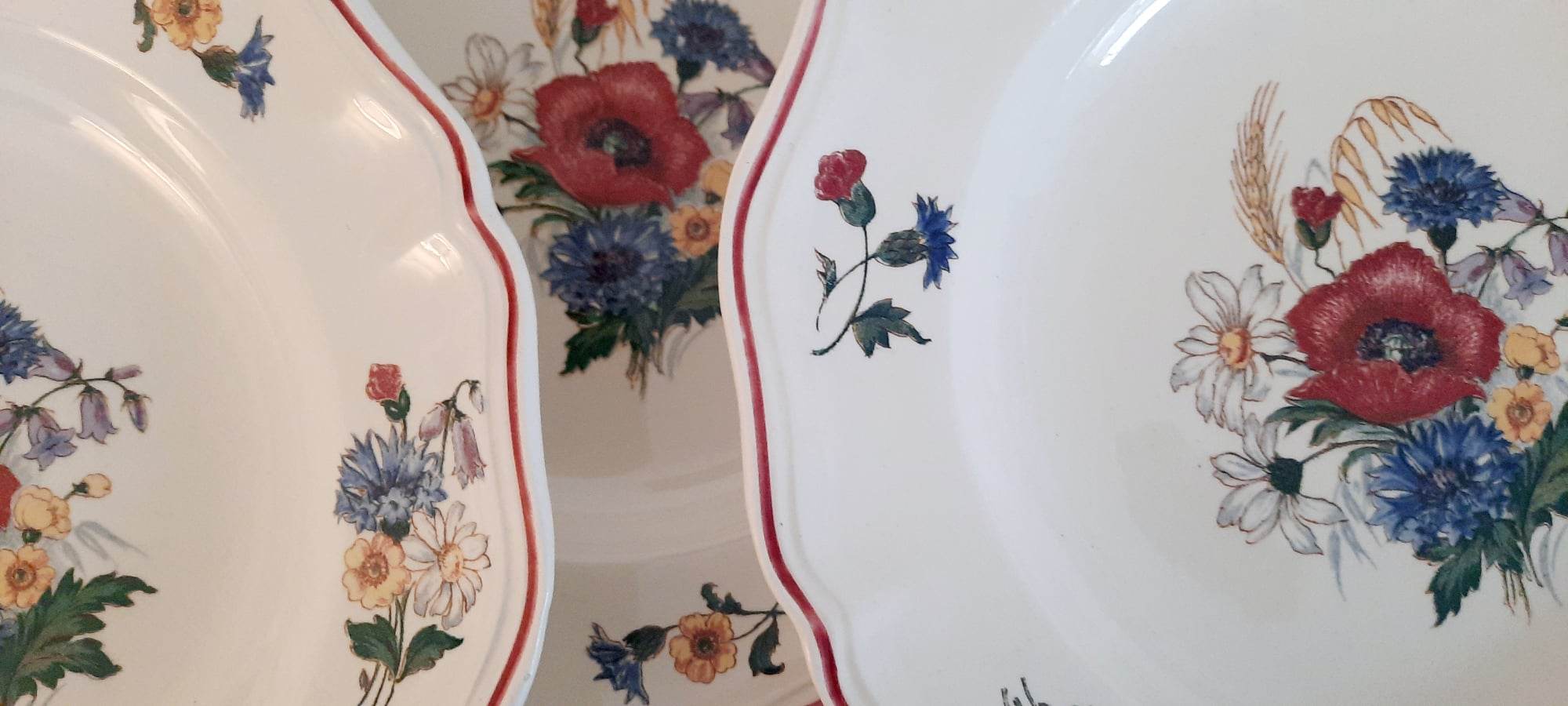 Hollow plates in earthenware Sarreguemines Model "Agreste" Vintage